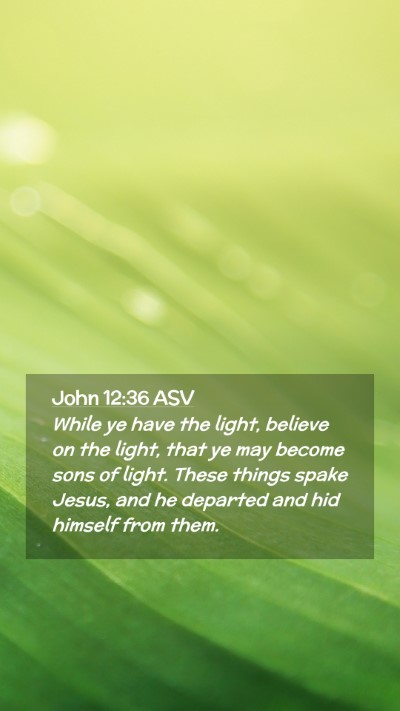 Picture 02 - John 12:36 ASV Mobile Phone Wallpaper - While ye have the light, believe on the light, - Mobile Bible Verse Wallpaper