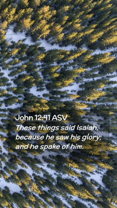 Picture 02 - John 12:41 ASV Mobile Phone Wallpaper - These things said Isaiah, because he saw his - Mobile Bible Verse Wallpaper