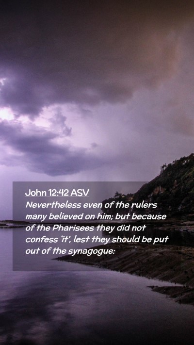 Picture 02 - John 12:42 ASV Mobile Phone Wallpaper - Nevertheless even of the rulers many believed on - Mobile Bible Verse Wallpaper