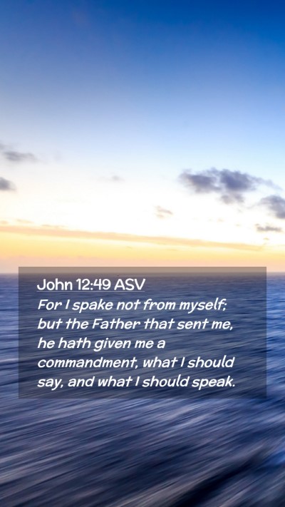 Picture 02 - John 12:49 ASV Mobile Phone Wallpaper - For I spake not from myself; but the Father that - Mobile Bible Verse Wallpaper