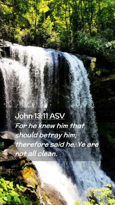 Picture 02 - John 13:11 ASV Mobile Phone Wallpaper - For he knew him that should betray him; therefore - Mobile Bible Verse Wallpaper
