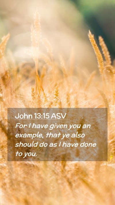 Picture 02 - John 13:15 ASV Mobile Phone Wallpaper - For I have given you an example, that ye also - Mobile Bible Verse Wallpaper