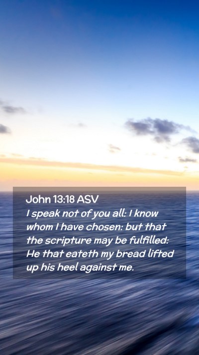 Picture 02 - John 13:18 ASV Mobile Phone Wallpaper - I speak not of you all: I know whom I have - Mobile Bible Verse Wallpaper