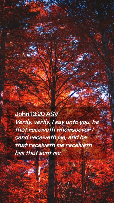Picture 02 - John 13:20 ASV Mobile Phone Wallpaper - Verily, verily, I say unto you, he that receiveth - Mobile Bible Verse Wallpaper
