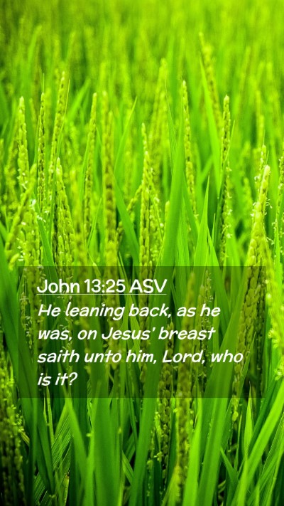 Picture 02 - John 13:25 ASV Mobile Phone Wallpaper - He leaning back, as he was, on Jesus' breast - Mobile Bible Verse Wallpaper