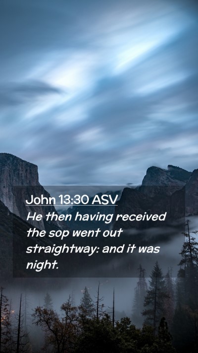 Picture 02 - John 13:30 ASV Mobile Phone Wallpaper - He then having received the sop went out - Mobile Bible Verse Wallpaper