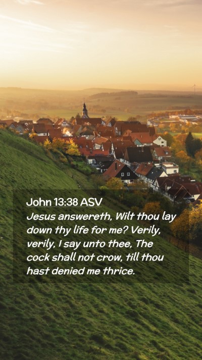 Picture 02 - John 13:38 ASV Mobile Phone Wallpaper - Jesus answereth, Wilt thou lay down thy life for - Mobile Bible Verse Wallpaper