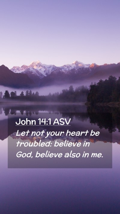 Picture 02 - John 14:1 ASV Mobile Phone Wallpaper - Let not your heart be troubled: believe in God, - Mobile Bible Verse Wallpaper