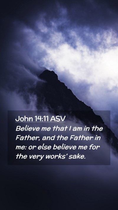 Picture 02 - John 14:11 ASV Mobile Phone Wallpaper - Believe me that I am in the Father, and the - Mobile Bible Verse Wallpaper