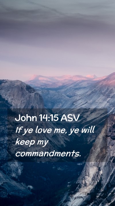Picture 02 - John 14:15 ASV Mobile Phone Wallpaper - If ye love me, ye will keep my - Mobile Bible Verse Wallpaper