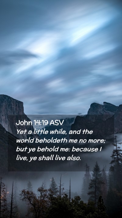 Picture 02 - John 14:19 ASV Mobile Phone Wallpaper - Yet a little while, and the world beholdeth me no - Mobile Bible Verse Wallpaper