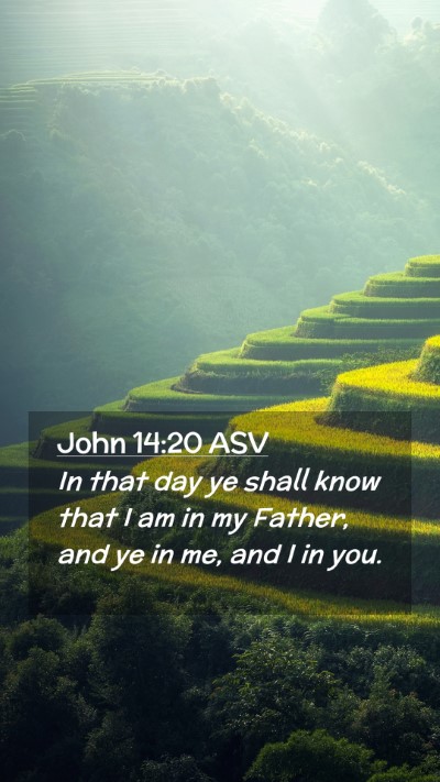 Picture 02 - John 14:20 ASV Mobile Phone Wallpaper - In that day ye shall know that I am in my Father, - Mobile Bible Verse Wallpaper