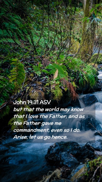 Picture 02 - John 14:31 ASV Mobile Phone Wallpaper - but that the world may know that I love the - Mobile Bible Verse Wallpaper