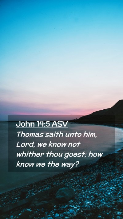 Picture 02 - John 14:5 ASV Mobile Phone Wallpaper - Thomas saith unto him, Lord, we know not whither - Mobile Bible Verse Wallpaper