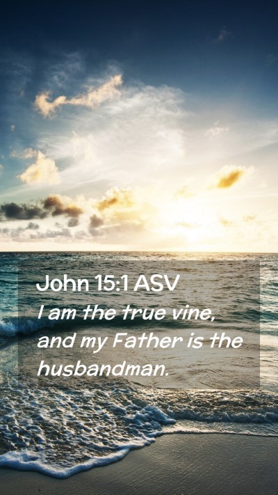 Picture 02 - John 15:1 ASV Mobile Phone Wallpaper - I am the true vine, and my Father is the - Mobile Bible Verse Wallpaper