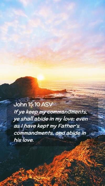 Picture 02 - John 15:10 ASV Mobile Phone Wallpaper - If ye keep my commandments, ye shall abide in my - Mobile Bible Verse Wallpaper