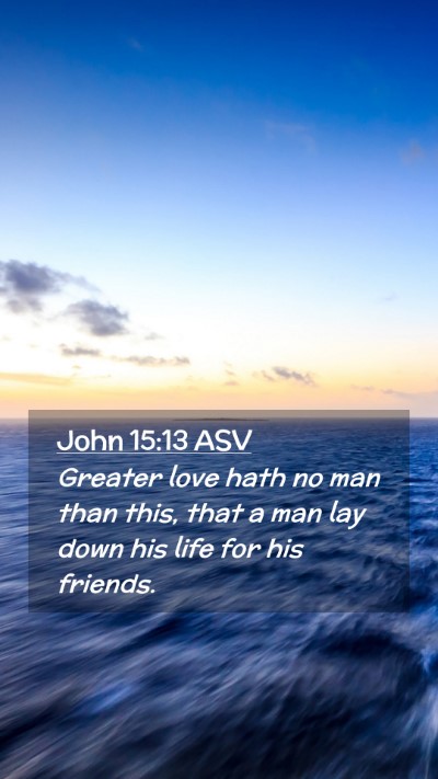 Picture 02 - John 15:13 ASV Mobile Phone Wallpaper - Greater love hath no man than this, that a man - Mobile Bible Verse Wallpaper