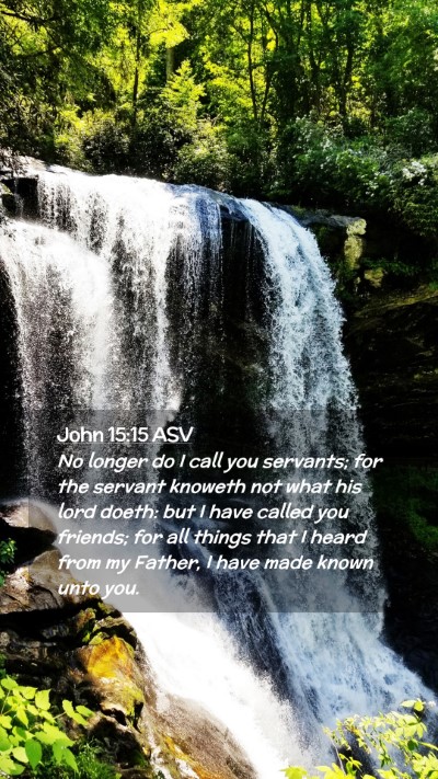 Picture 02 - John 15:15 ASV Mobile Phone Wallpaper - No longer do I call you servants; for the servant - Mobile Bible Verse Wallpaper