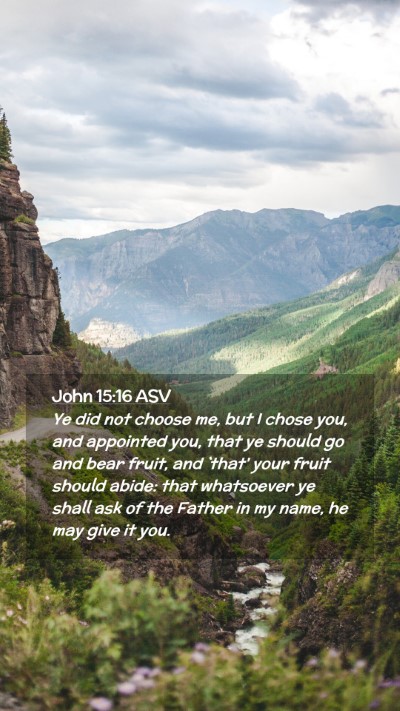 Picture 02 - John 15:16 ASV Mobile Phone Wallpaper - Ye did not choose me, but I chose you, and - Mobile Bible Verse Wallpaper