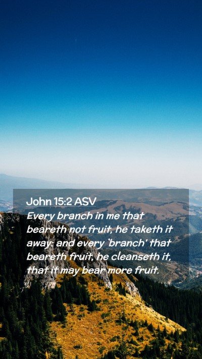 Picture 02 - John 15:2 ASV Mobile Phone Wallpaper - Every branch in me that beareth not fruit, he - Mobile Bible Verse Wallpaper