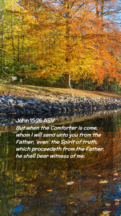 Picture 02 - John 15:26 ASV Mobile Phone Wallpaper - But when the Comforter is come, whom I will send - Mobile Bible Verse Wallpaper