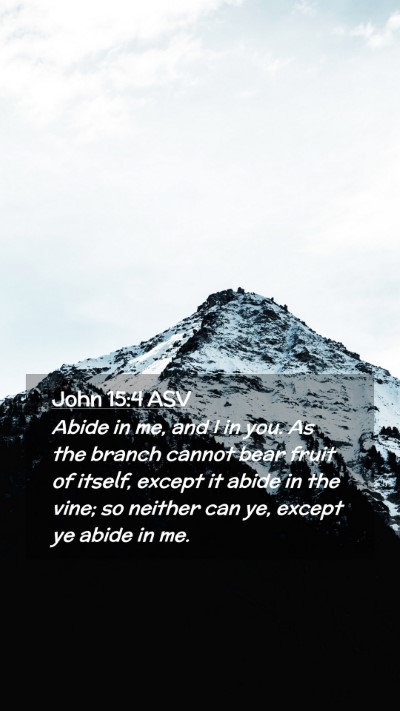 Picture 02 - John 15:4 ASV Mobile Phone Wallpaper - Abide in me, and I in you. As the branch cannot - Mobile Bible Verse Wallpaper
