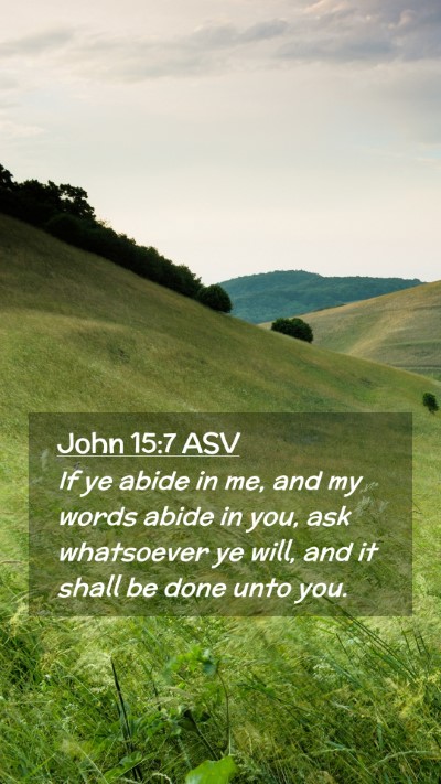 Picture 02 - John 15:7 ASV Mobile Phone Wallpaper - If ye abide in me, and my words abide in you, ask - Mobile Bible Verse Wallpaper