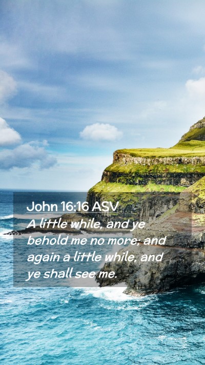 Picture 02 - John 16:16 ASV Mobile Phone Wallpaper - A little while, and ye behold me no more; and - Mobile Bible Verse Wallpaper