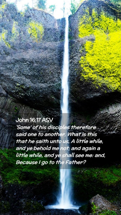 Picture 02 - John 16:17 ASV Mobile Phone Wallpaper - `Some' of his disciples therefore said one to - Mobile Bible Verse Wallpaper