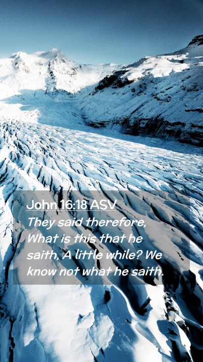 Picture 02 - John 16:18 ASV Mobile Phone Wallpaper - They said therefore, What is this that he saith, - Mobile Bible Verse Wallpaper