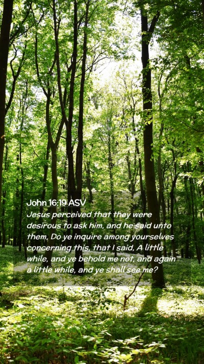Picture 02 - John 16:19 ASV Mobile Phone Wallpaper - Jesus perceived that they were desirous to ask - Mobile Bible Verse Wallpaper
