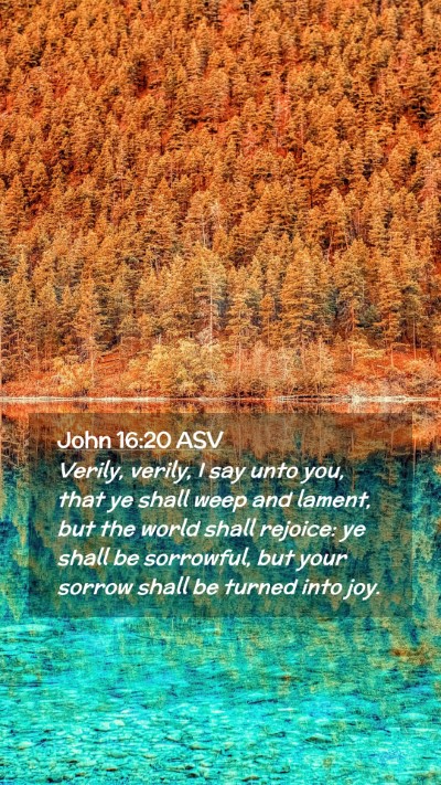 Picture 02 - John 16:20 ASV Mobile Phone Wallpaper - Verily, verily, I say unto you, that ye shall - Mobile Bible Verse Wallpaper