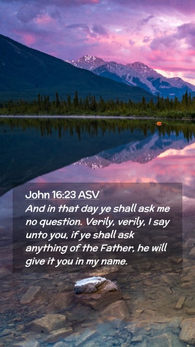 Picture 02 - John 16:23 ASV Mobile Phone Wallpaper - And in that day ye shall ask me no question. - Mobile Bible Verse Wallpaper