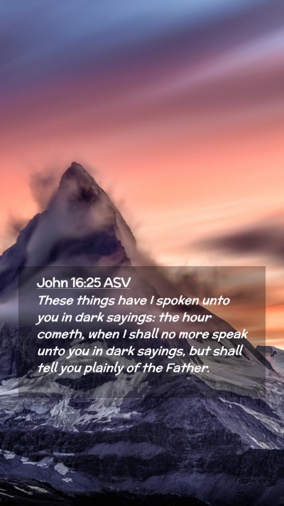 Picture 02 - John 16:25 ASV Mobile Phone Wallpaper - These things have I spoken unto you in dark - Mobile Bible Verse Wallpaper