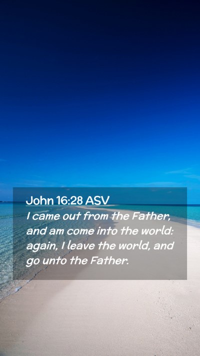 Picture 02 - John 16:28 ASV Mobile Phone Wallpaper - I came out from the Father, and am come into the - Mobile Bible Verse Wallpaper