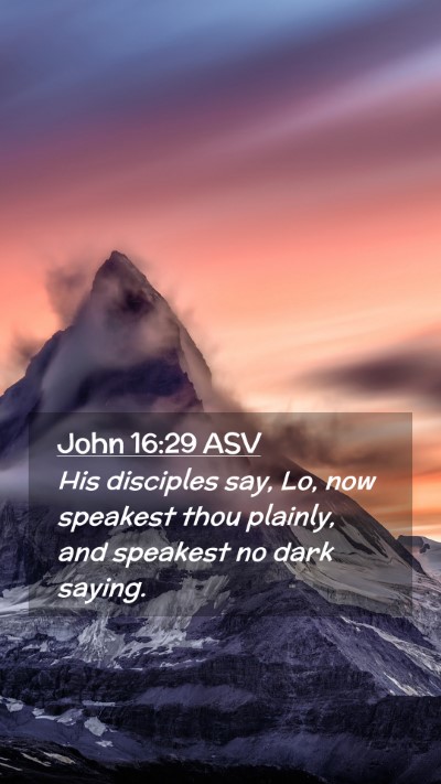 Picture 02 - John 16:29 ASV Mobile Phone Wallpaper - His disciples say, Lo, now speakest thou plainly, - Mobile Bible Verse Wallpaper
