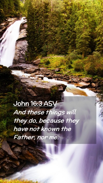 Picture 02 - John 16:3 ASV Mobile Phone Wallpaper - And these things will they do, because they have - Mobile Bible Verse Wallpaper