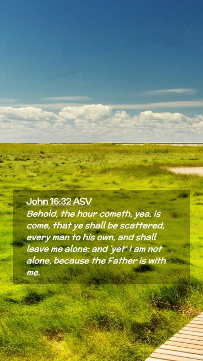 Picture 02 - John 16:32 ASV Mobile Phone Wallpaper - Behold, the hour cometh, yea, is come, that ye - Mobile Bible Verse Wallpaper