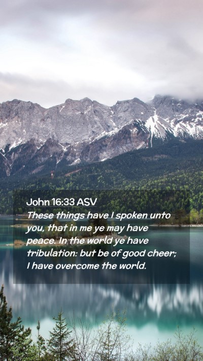 Picture 02 - John 16:33 ASV Mobile Phone Wallpaper - These things have I spoken unto you, that in me - Mobile Bible Verse Wallpaper