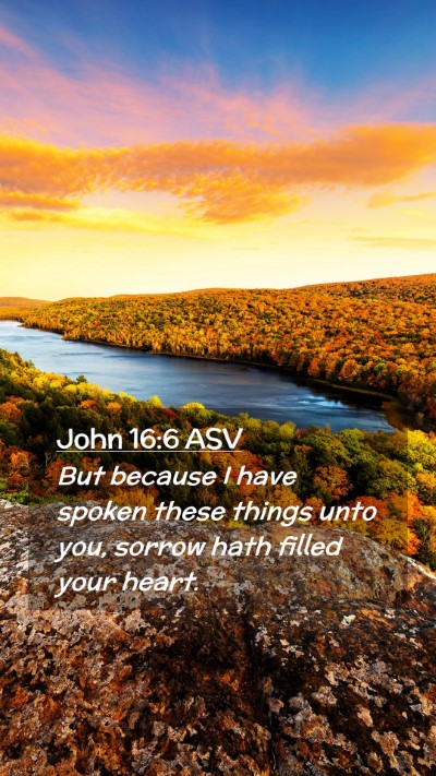 Picture 02 - John 16:6 ASV Mobile Phone Wallpaper - But because I have spoken these things unto you, - Mobile Bible Verse Wallpaper