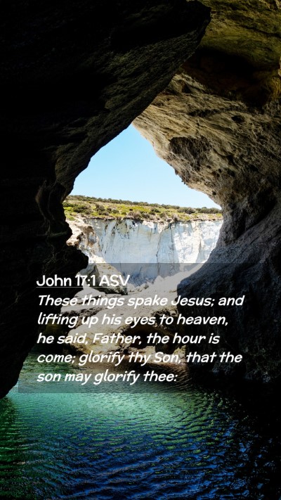 Picture 02 - John 17:1 ASV Mobile Phone Wallpaper - These things spake Jesus; and lifting up his eyes - Mobile Bible Verse Wallpaper