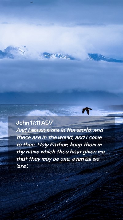 Picture 02 - John 17:11 ASV Mobile Phone Wallpaper - And I am no more in the world, and these are in - Mobile Bible Verse Wallpaper