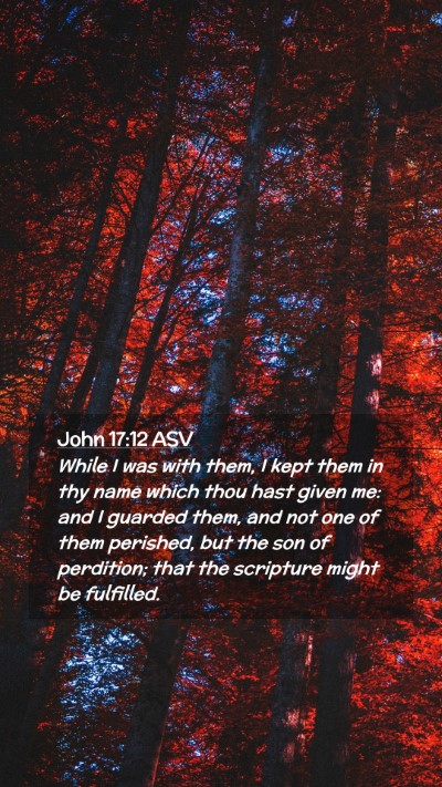 Picture 02 - John 17:12 ASV Mobile Phone Wallpaper - While I was with them, I kept them in thy name - Mobile Bible Verse Wallpaper