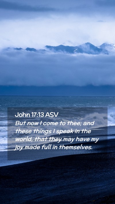 Picture 02 - John 17:13 ASV Mobile Phone Wallpaper - But now I come to thee; and these things I speak - Mobile Bible Verse Wallpaper