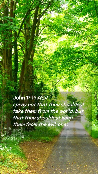 Picture 02 - John 17:15 ASV Mobile Phone Wallpaper - I pray not that thou shouldest take them from the - Mobile Bible Verse Wallpaper