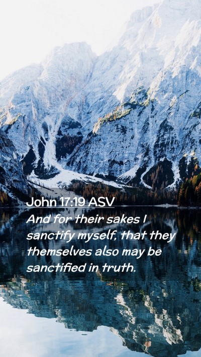 Picture 02 - John 17:19 ASV Mobile Phone Wallpaper - And for their sakes I sanctify myself, that they - Mobile Bible Verse Wallpaper