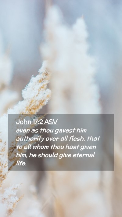 Picture 02 - John 17:2 ASV Mobile Phone Wallpaper - even as thou gavest him authority over all flesh, - Mobile Bible Verse Wallpaper
