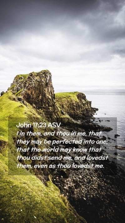 Picture 02 - John 17:23 ASV Mobile Phone Wallpaper - I in them, and thou in me, that they may be - Mobile Bible Verse Wallpaper