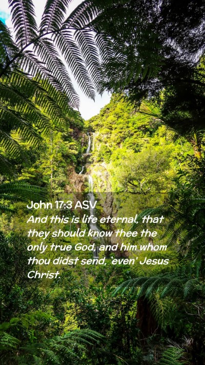 Picture 02 - John 17:3 ASV Mobile Phone Wallpaper - And this is life eternal, that they should know - Mobile Bible Verse Wallpaper