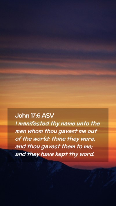 Picture 02 - John 17:6 ASV Mobile Phone Wallpaper - I manifested thy name unto the men whom thou - Mobile Bible Verse Wallpaper